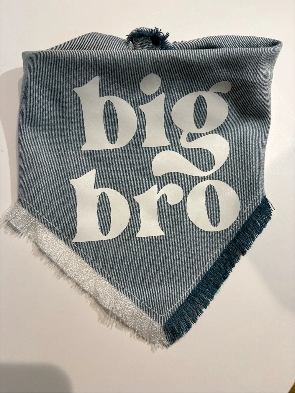 Big Bro Bandana‎ Scarf | Medium pup